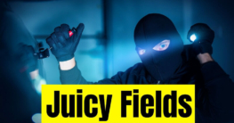 Juicy Fields recensioni & Reviews