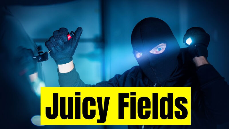 Juicy Fields recensioni & Reviews - truffa o serietà? SCAM