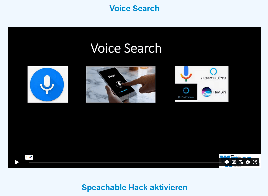 voice search lars pilawski